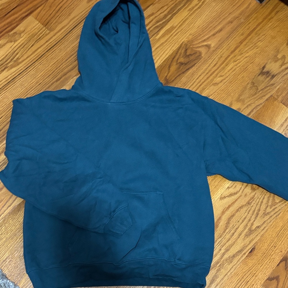 Aritzia Perfect Hoodie